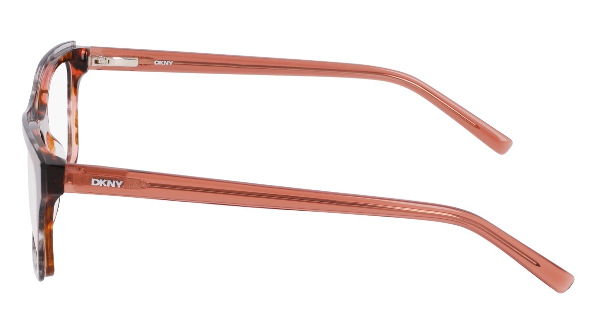 Eyeglasses Dkny DK5076 (667) color smoke/rose horn shape rectangle 