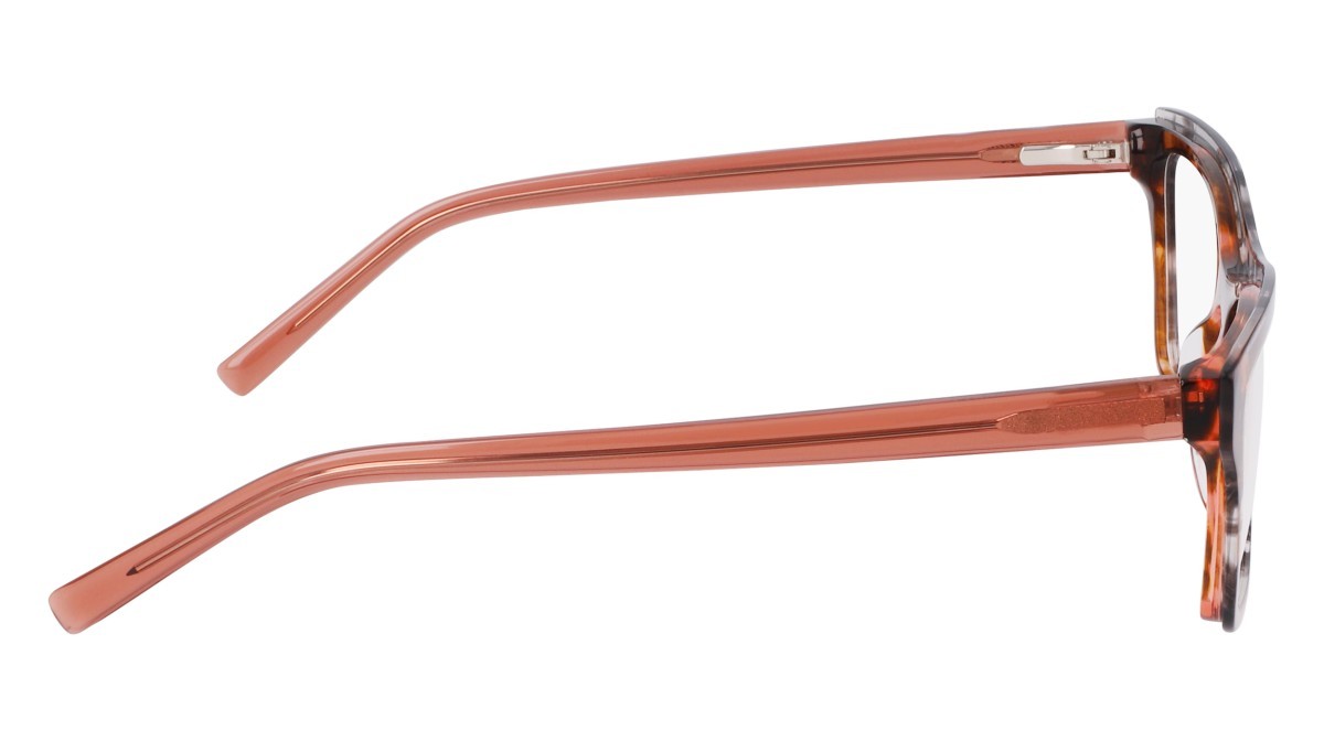 Eyeglasses Dkny DK5076 (667) color smoke/rose horn shape rectangle 