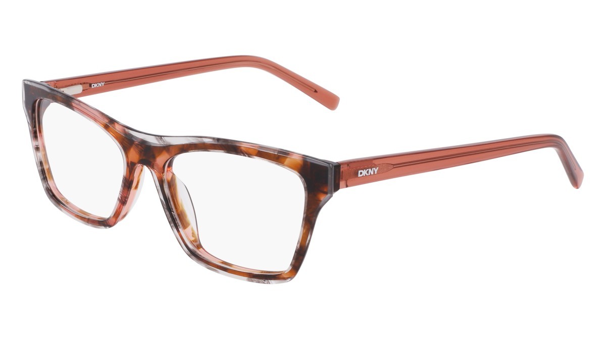 Eyeglasses Dkny DK5076 (667) color smoke/rose horn shape rectangle 