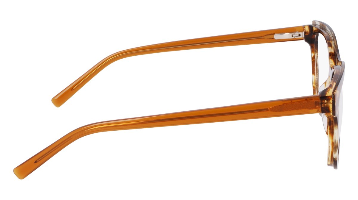 Eyeglasses Dkny DK5077 (228) color brown horn shape round 