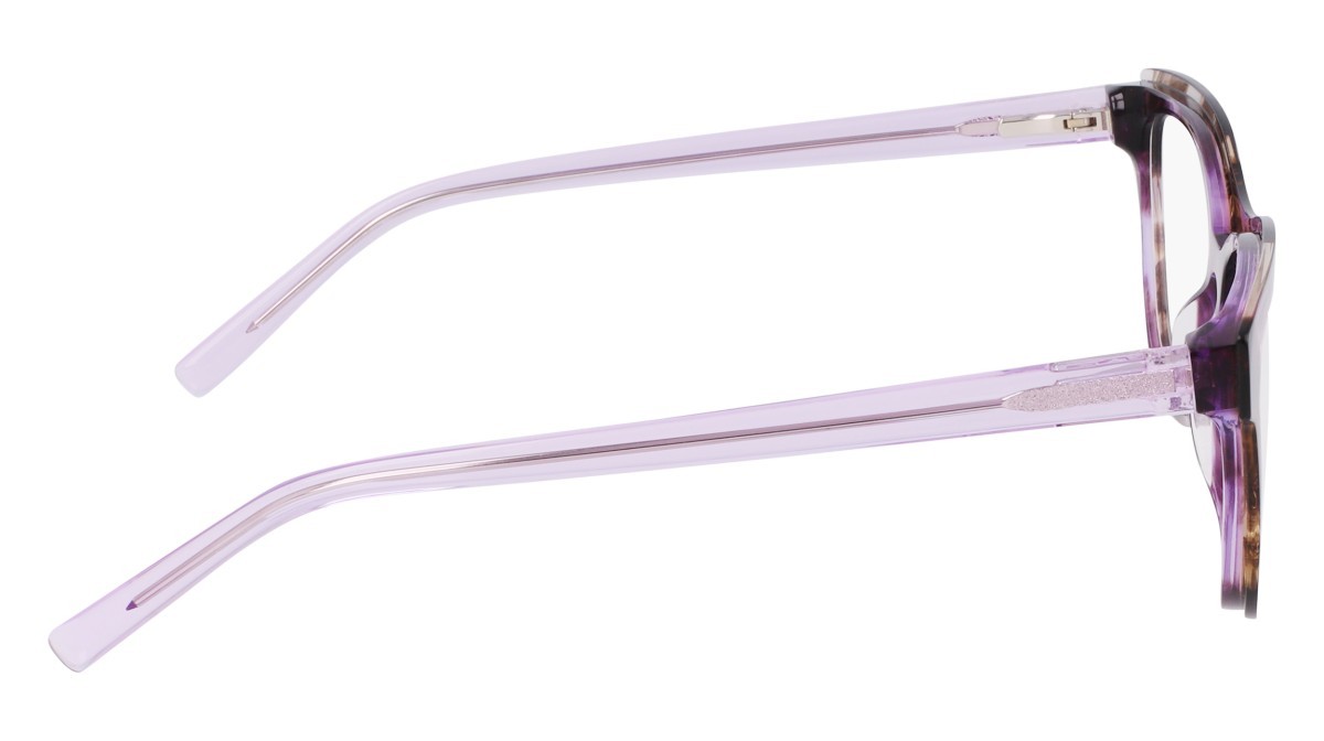 Eyeglasses Dkny DK5077 N (554) color purple horn shape round 