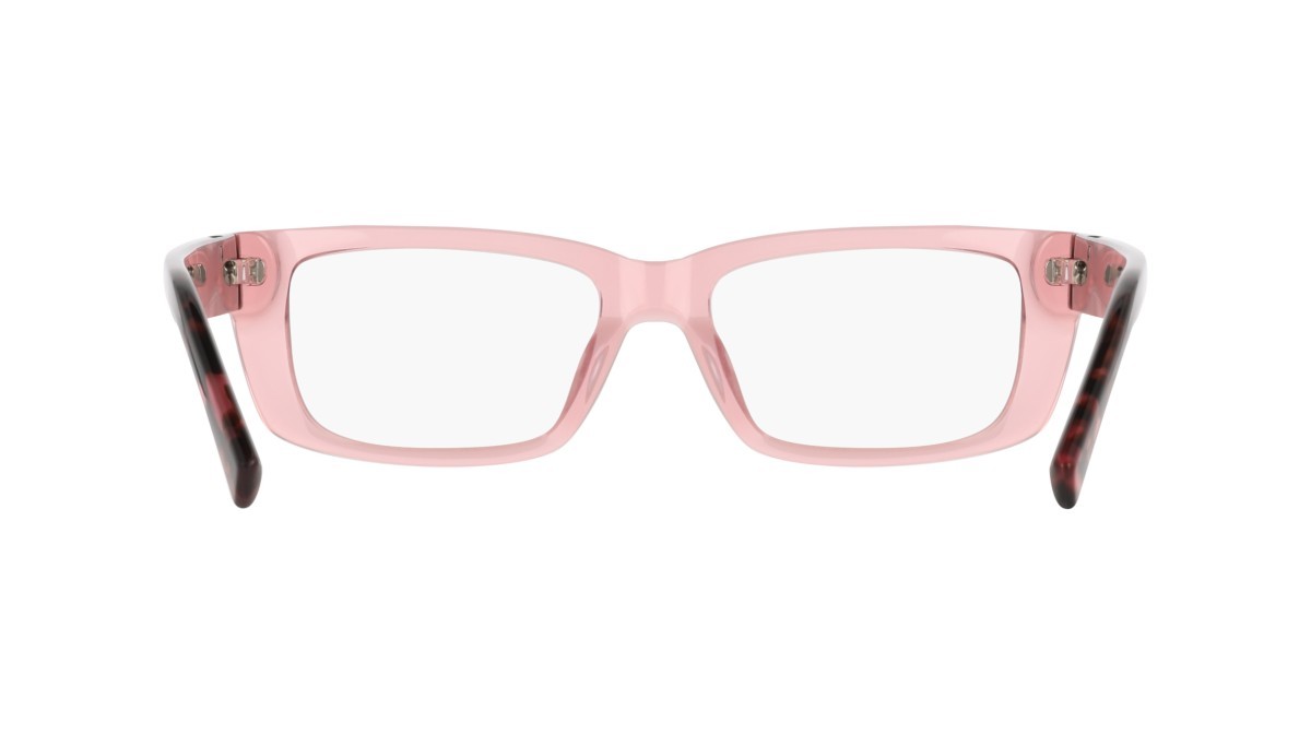 Eyeglasses Dkny DK5079 (620) color crystal rose shape rectangle 