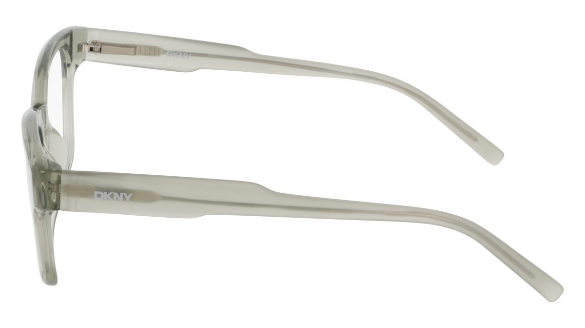 Eyeglasses Dkny DK5081 (011) color crystal sage fog shape pantos 