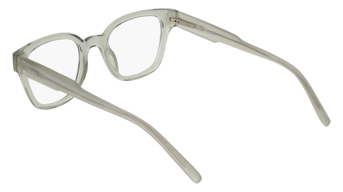 Eyeglasses Dkny DK5081 (011) color crystal sage fog shape pantos 