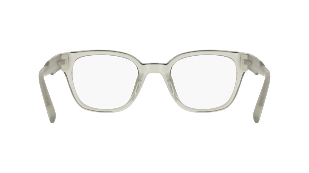 Eyeglasses Dkny DK5081 (011) color crystal sage fog shape pantos 