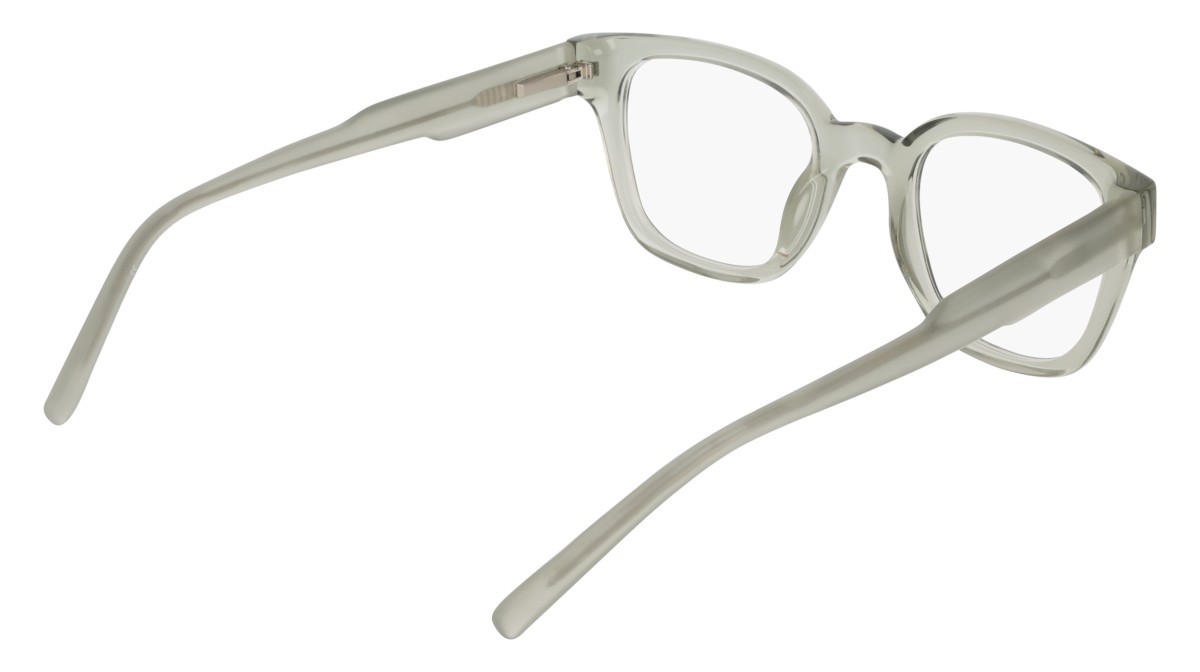 Eyeglasses Dkny DK5081 (011) color crystal sage fog shape pantos 