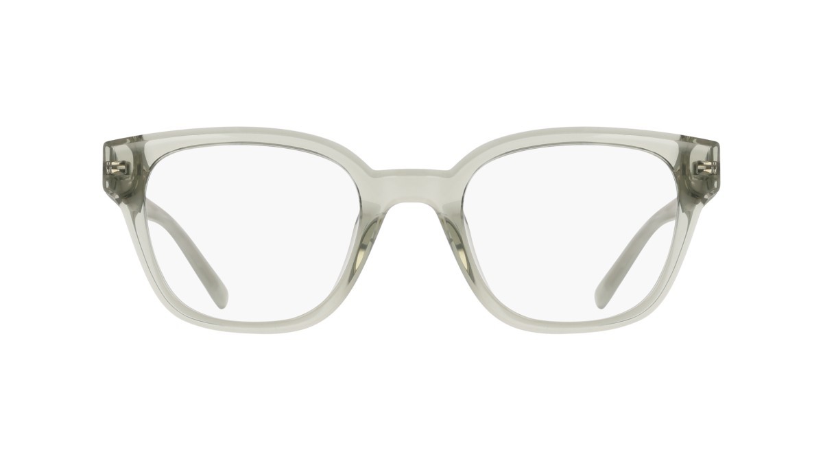 Eyeglasses Dkny DK5081 (011) color crystal sage fog shape pantos 