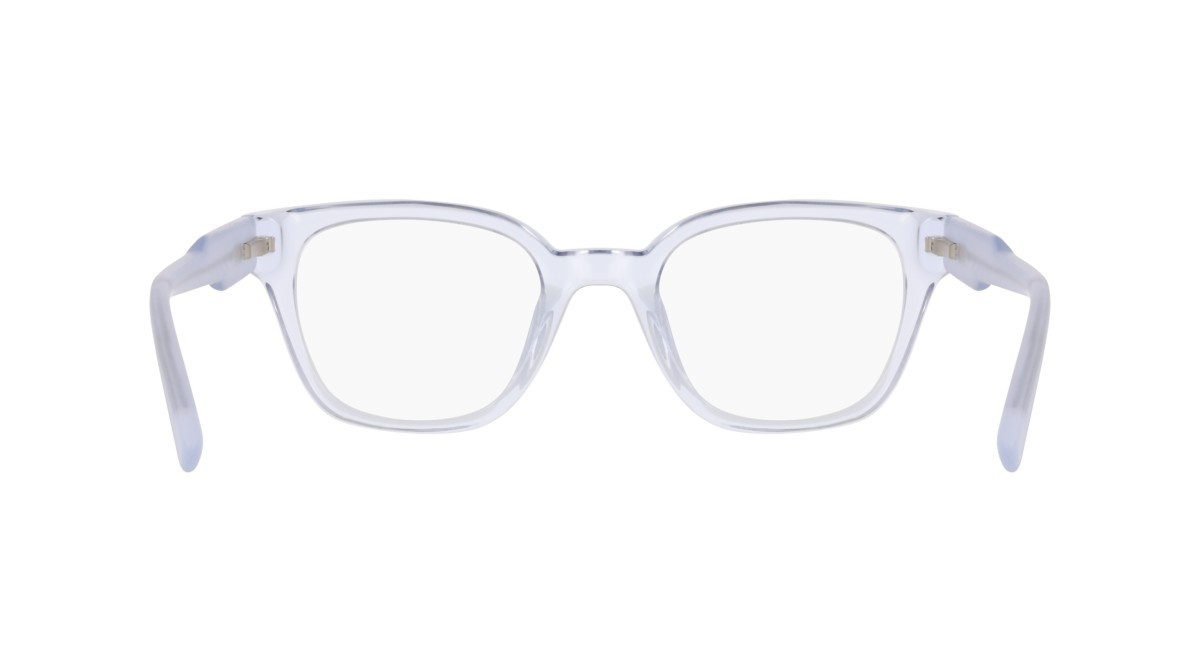 Eyeglasses Dkny DK5081 (403) color crystal sky blue shape pantos 