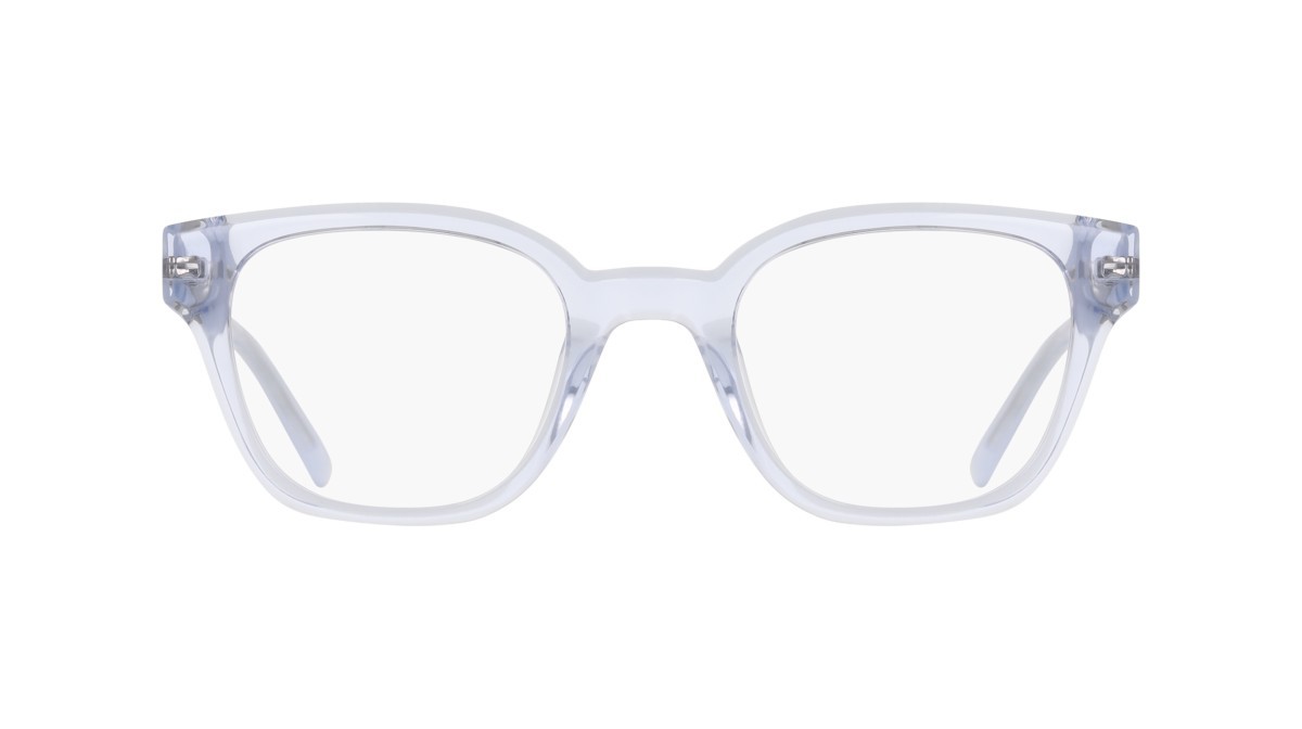 Eyeglasses Dkny DK5081 (403) color crystal sky blue shape pantos 
