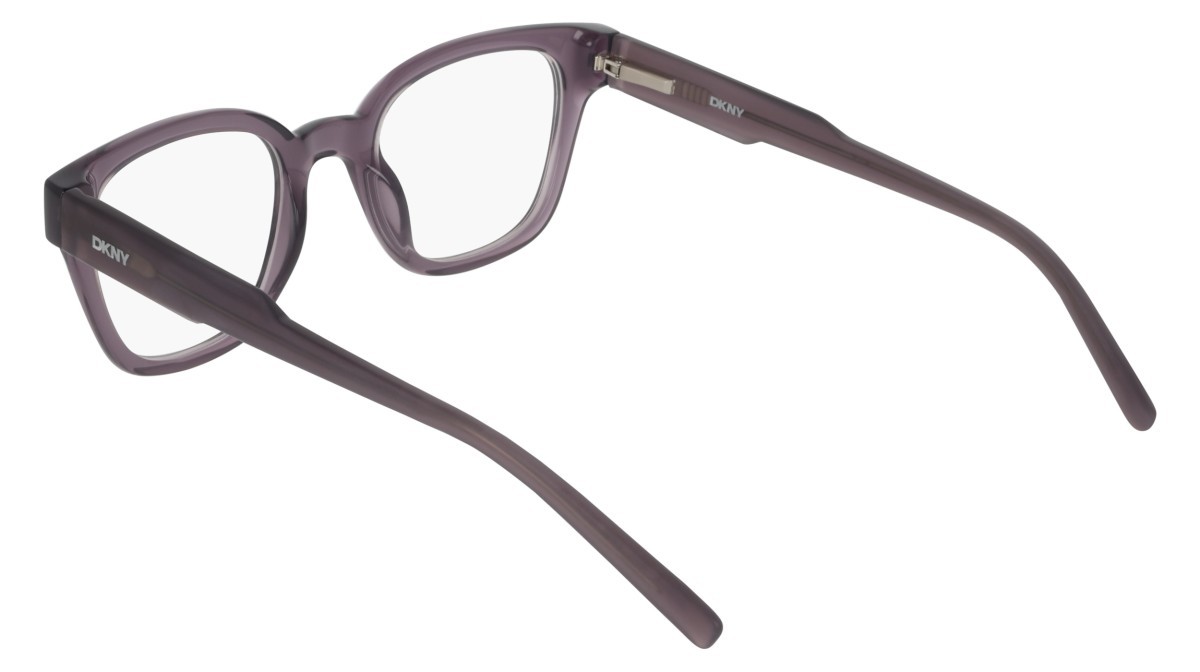 Eyeglasses Dkny DK5081 (505) color crystal plum shape pantos 