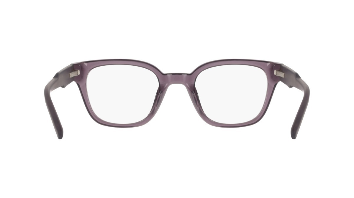 Eyeglasses Dkny DK5081 (505) color crystal plum shape pantos 