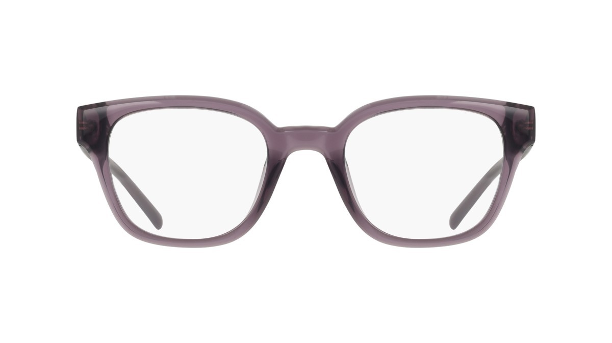 Eyeglasses Dkny DK5081 (505) color crystal plum shape pantos 