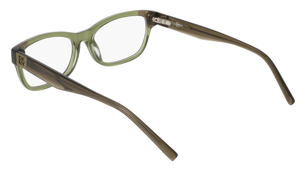 Eyeglasses Dkny DK5082 (330) color crystal olive shape rectangle 