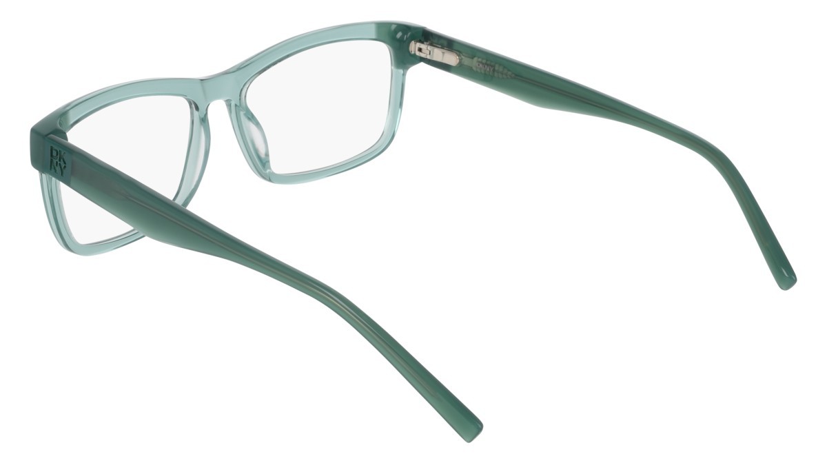 Eyeglasses Dkny DK5083 (310) color crystal sage shape rectangle 