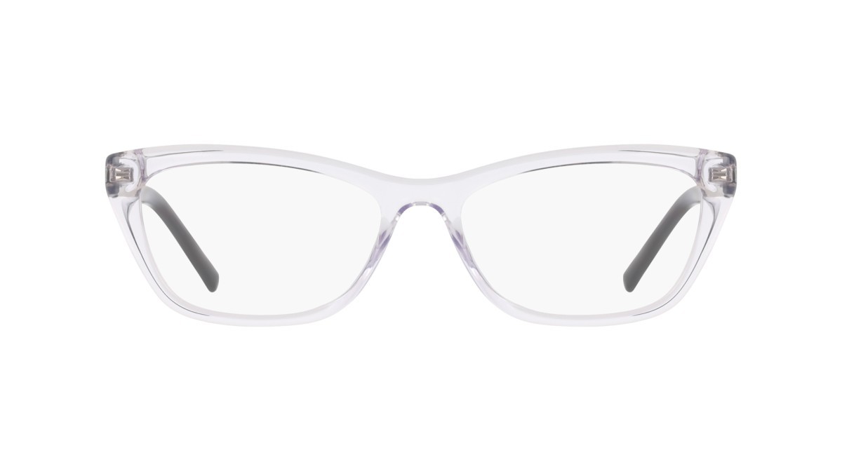 Eyeglasses Dkny DK5084 (011) color crystal fog shape cat eye 