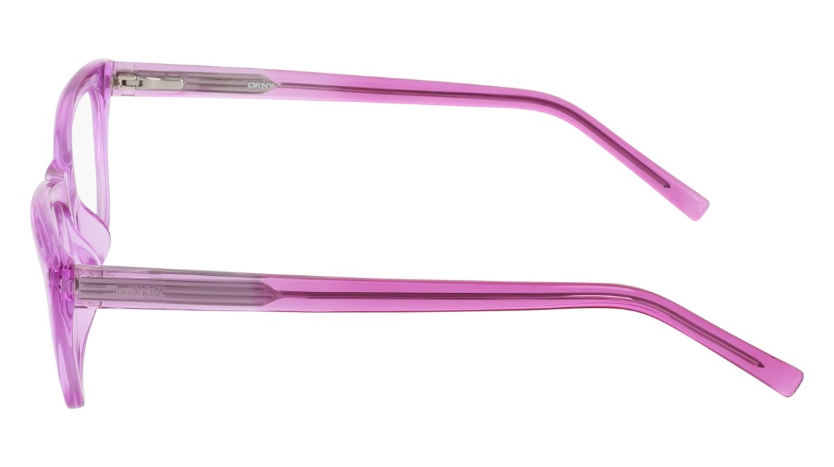 Eyeglasses Dkny DK5084 (550) color crystal violet shape cat eye 