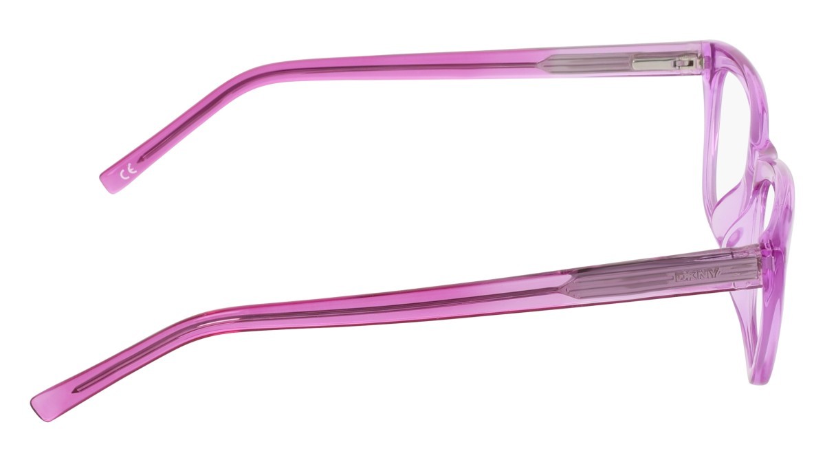Eyeglasses Dkny DK5084 (550) color crystal violet shape cat eye 