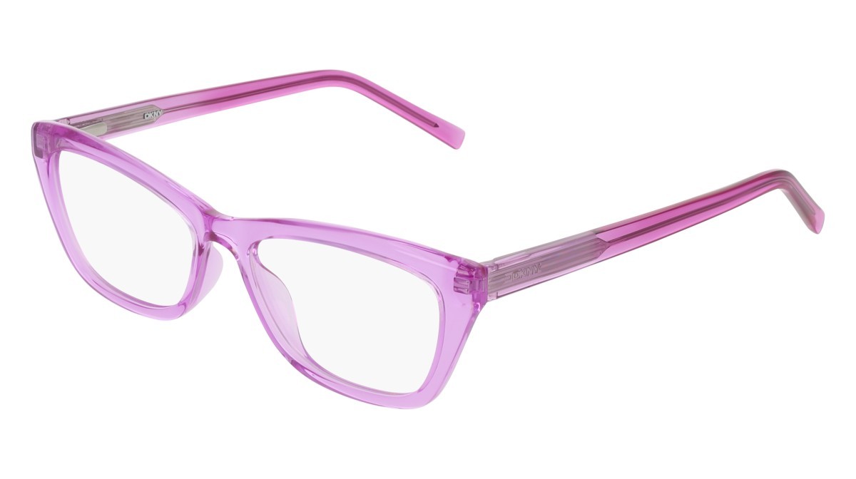 Eyeglasses Dkny DK5084 (550) color crystal violet shape cat eye 