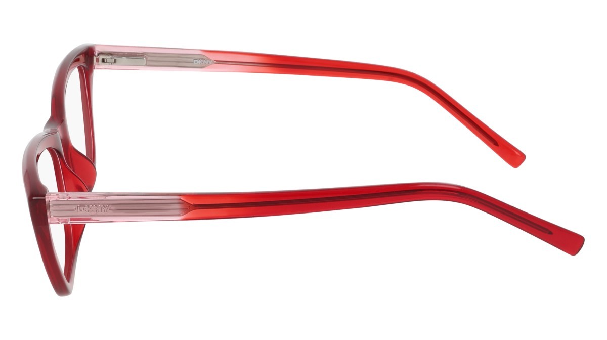 Eyeglasses Dkny DK5084 (600) color crystal rouge shape cat eye 