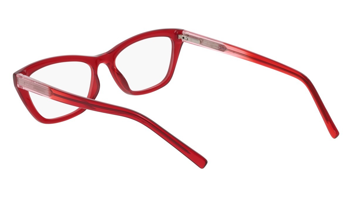 Eyeglasses Dkny DK5084 (600) color crystal rouge shape cat eye 