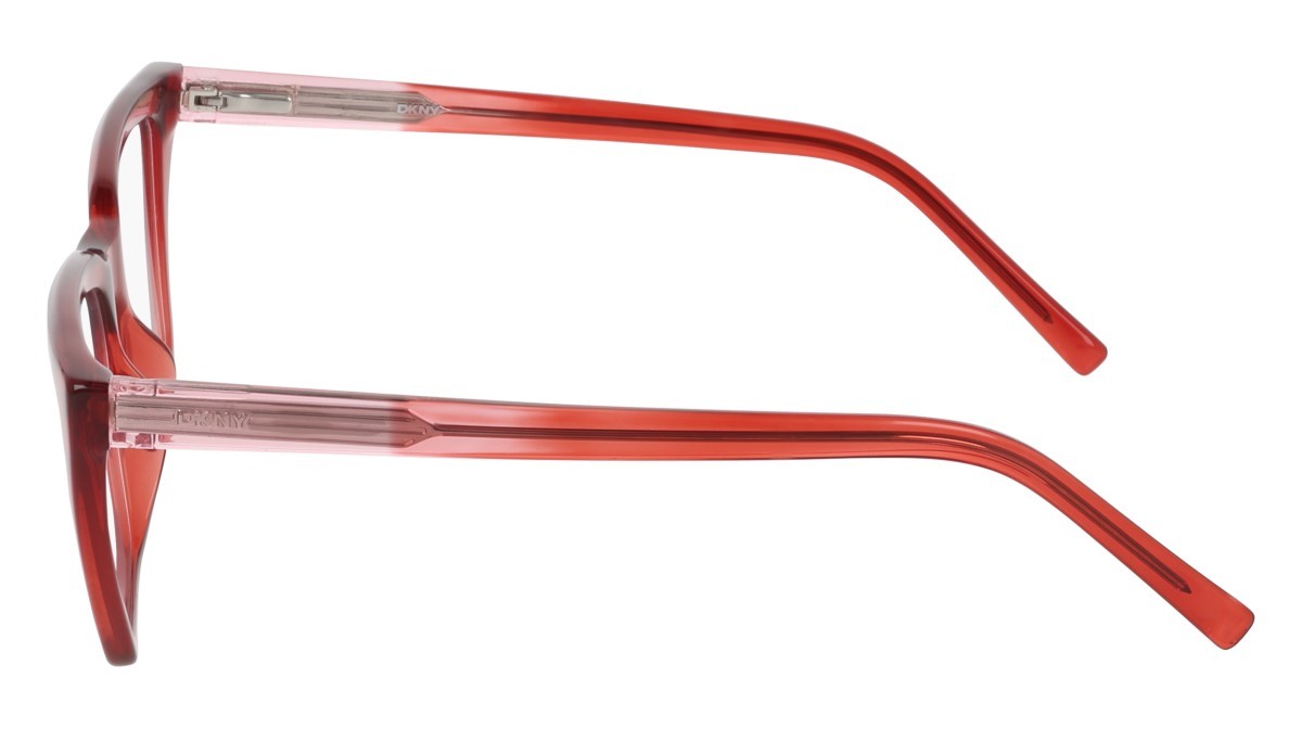 Eyeglasses Dkny DK5085 (600) color crystal rouge shape butterfly 