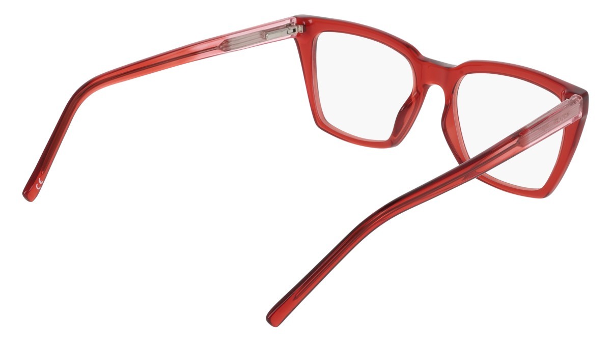 Eyeglasses Dkny DK5085 (600) color crystal rouge shape butterfly 