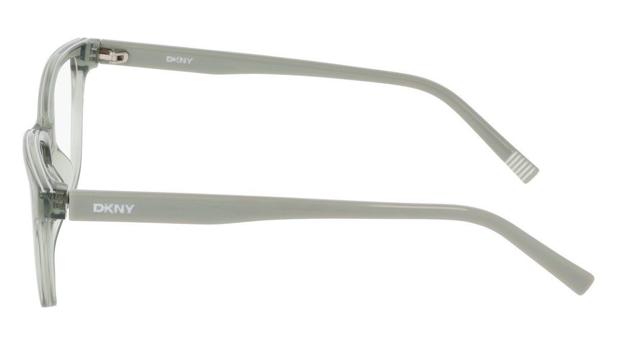 Eyeglasses Dkny DK5089 (310) color sage shape cat eye 