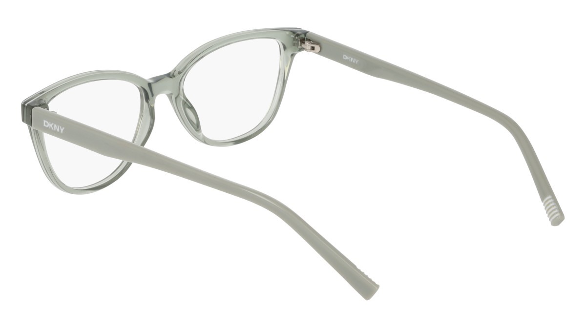 Eyeglasses Dkny DK5089 (310) color sage shape cat eye 
