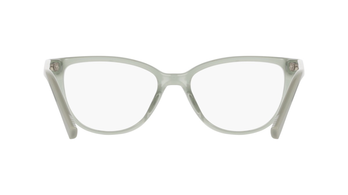 Eyeglasses Dkny DK5089 (310) color sage shape cat eye 