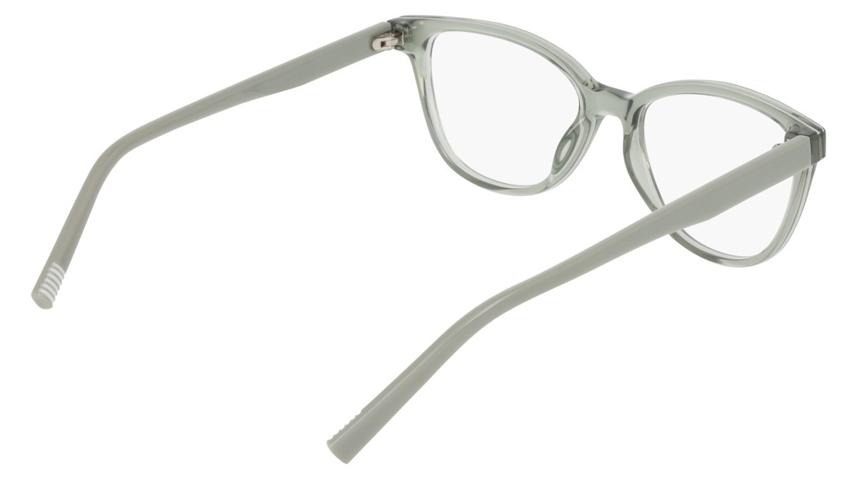 Eyeglasses Dkny DK5089 (310) color sage shape cat eye 