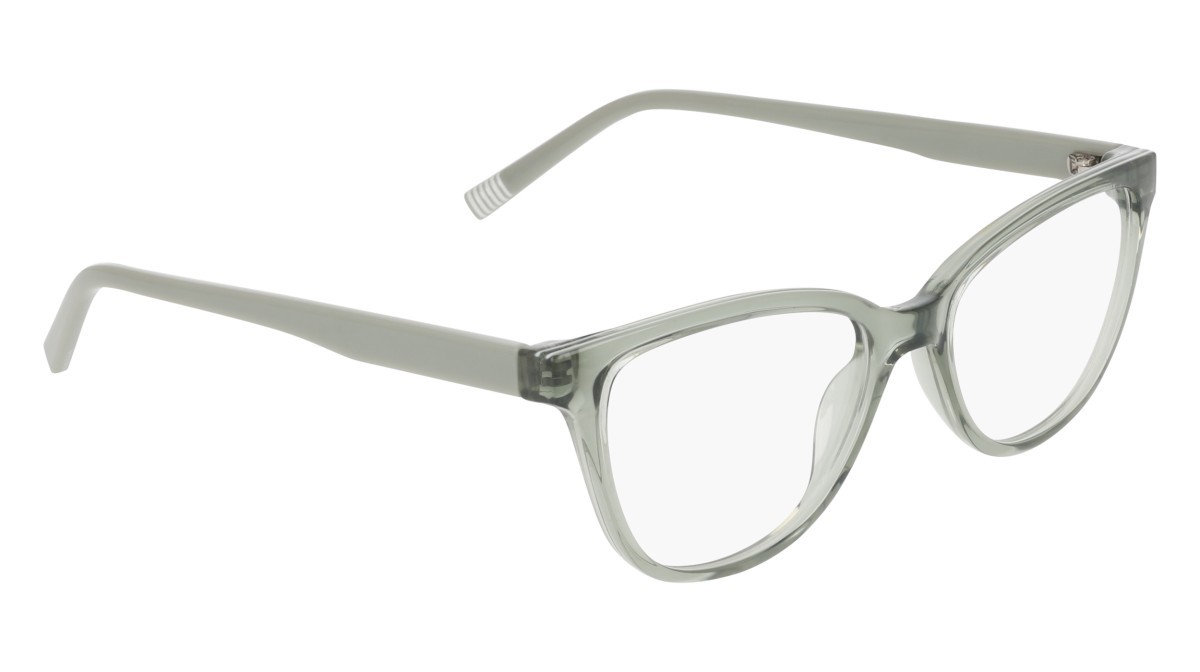 Eyeglasses Dkny DK5089 (310) color sage shape cat eye 