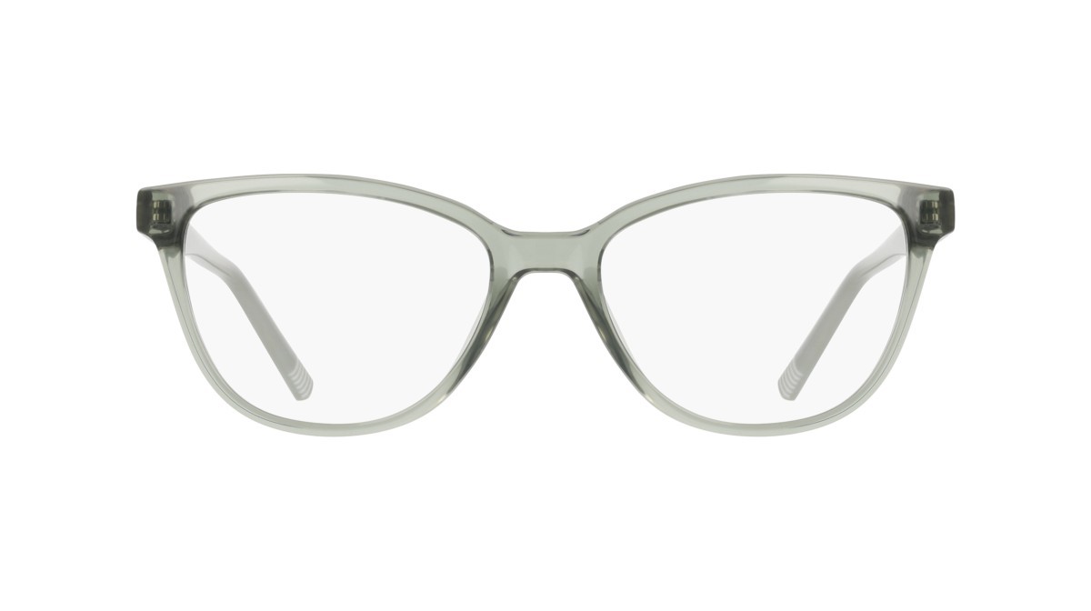 Eyeglasses Dkny DK5089 (310) color sage shape cat eye 