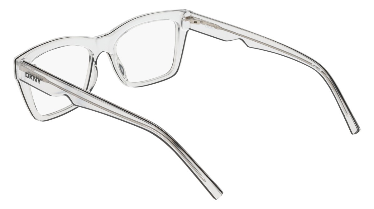 Eyeglasses Dkny DK5093 (000) color clear shape pantos 