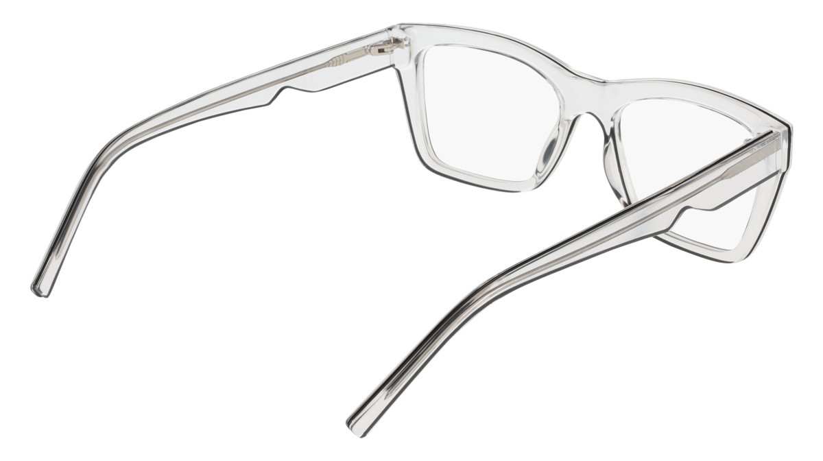 Eyeglasses Dkny DK5093 (000) color clear shape pantos 