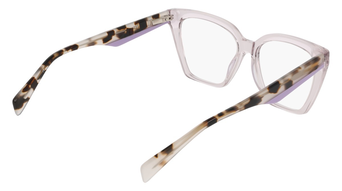 Eyeglasses Dkny DK5094 (272) color taupe shape butterfly 