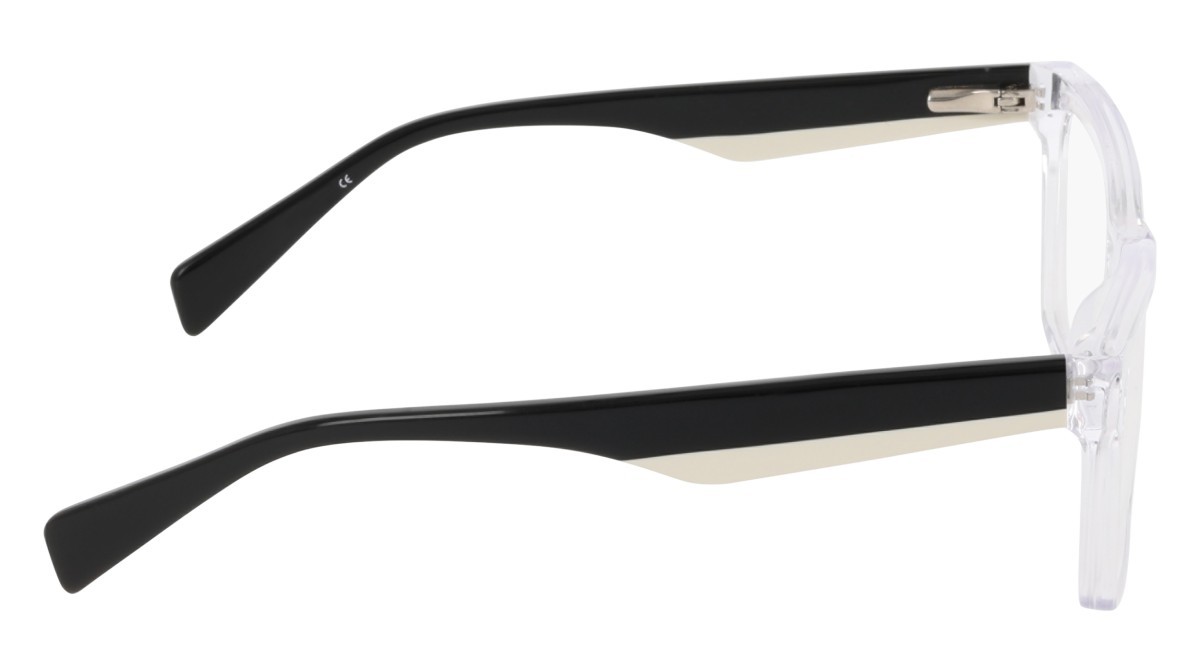 Eyeglasses Dkny DK5095 (000) color crystal clear shape pantos 