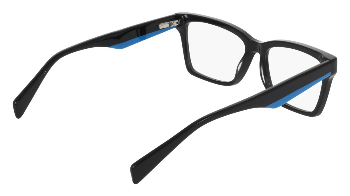 Eyeglasses Dkny DK5095 (001) color black shape pantos 