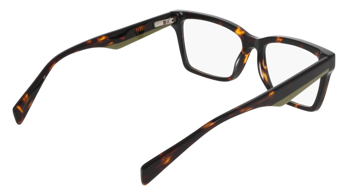 Eyeglasses Dkny DK5095 (237) color dark tortoise shape pantos 
