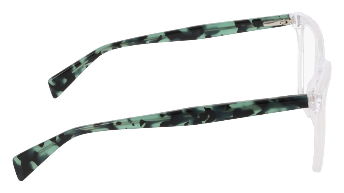 Eyeglasses Dkny DK5096 (000) color crystal clear shape butterfly 