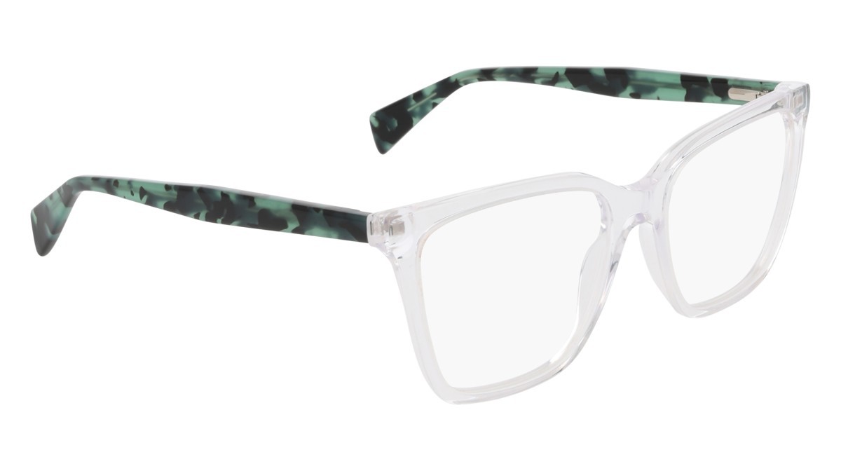 Eyeglasses Dkny DK5096 (000) color crystal clear shape butterfly 