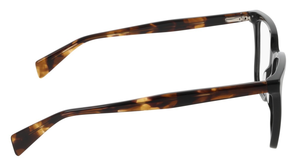 Eyeglasses Dkny DK5096 (001) color black shape butterfly 