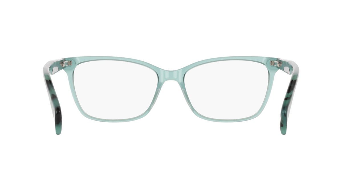 Eyeglasses Dkny DK5097 (310) color sage shape rectangle 