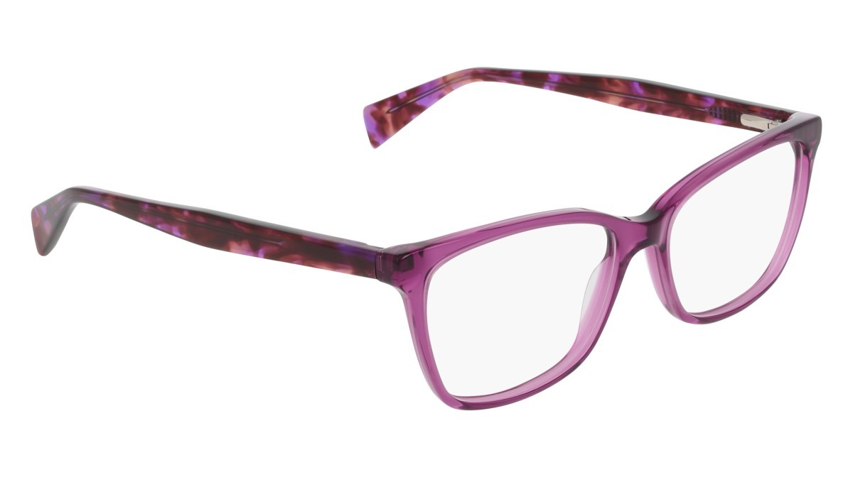 Eyeglasses Dkny DK5097 (550) color violet shape rectangle 