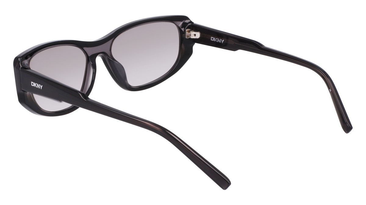 Sunglasses Dkny DK553S (015) color layered black shape oval lenses silver flash