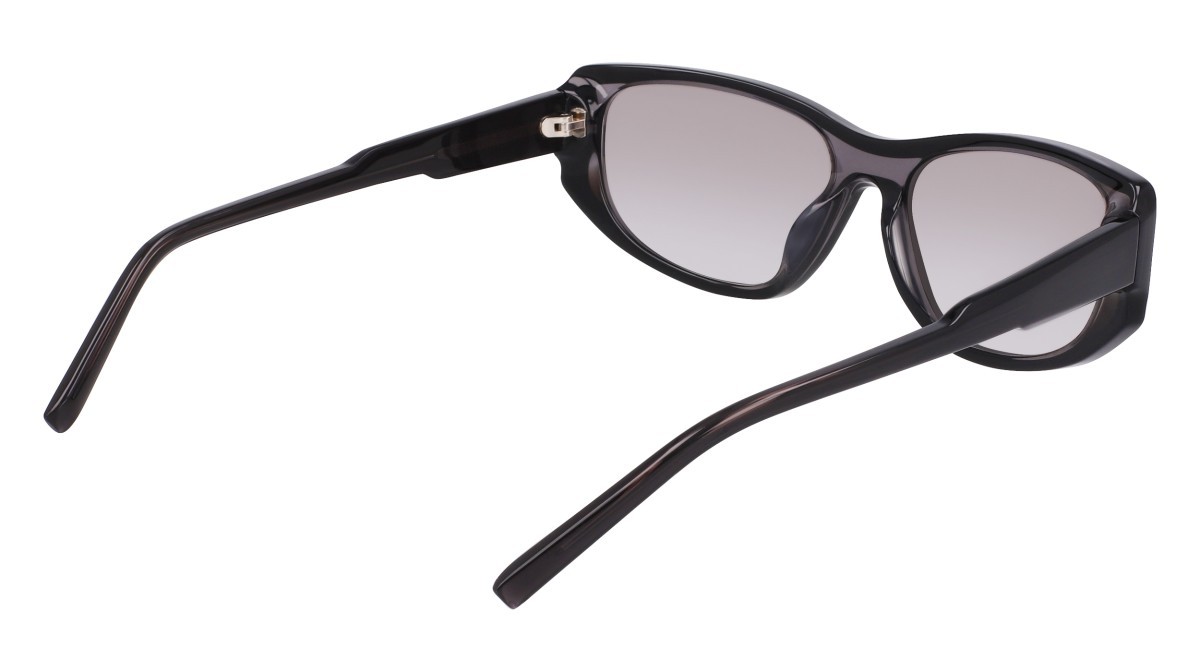Sunglasses Dkny DK553S (015) color layered black shape oval lenses silver flash