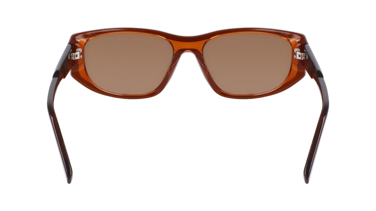 Sunglasses Dkny DK553S (200) color layered brown shape oval lenses brown flash