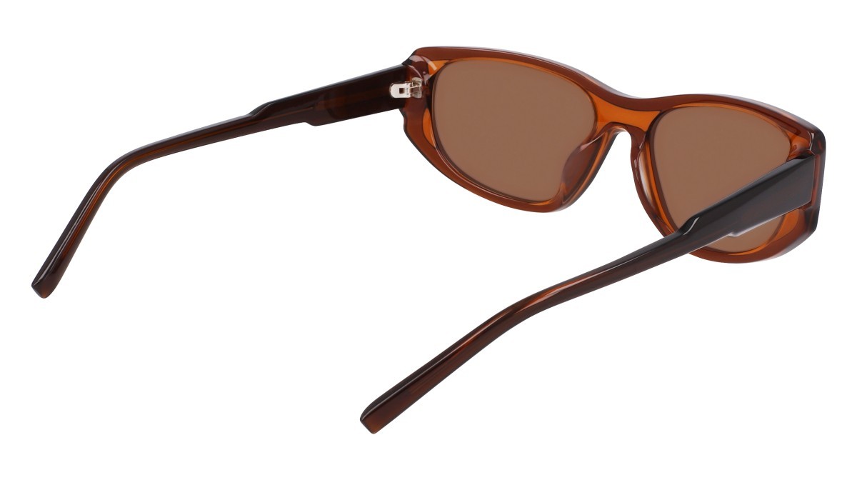 Sunglasses Dkny DK553S (200) color layered brown shape oval lenses brown flash