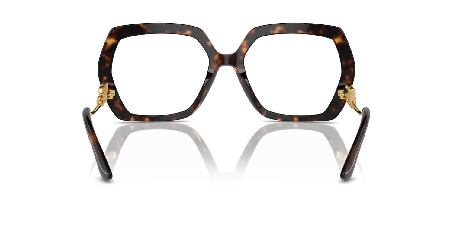 Brillen Dolce & Gabbana DG 3390B (502) farbe havana form unregelmäßig gläser lente demo