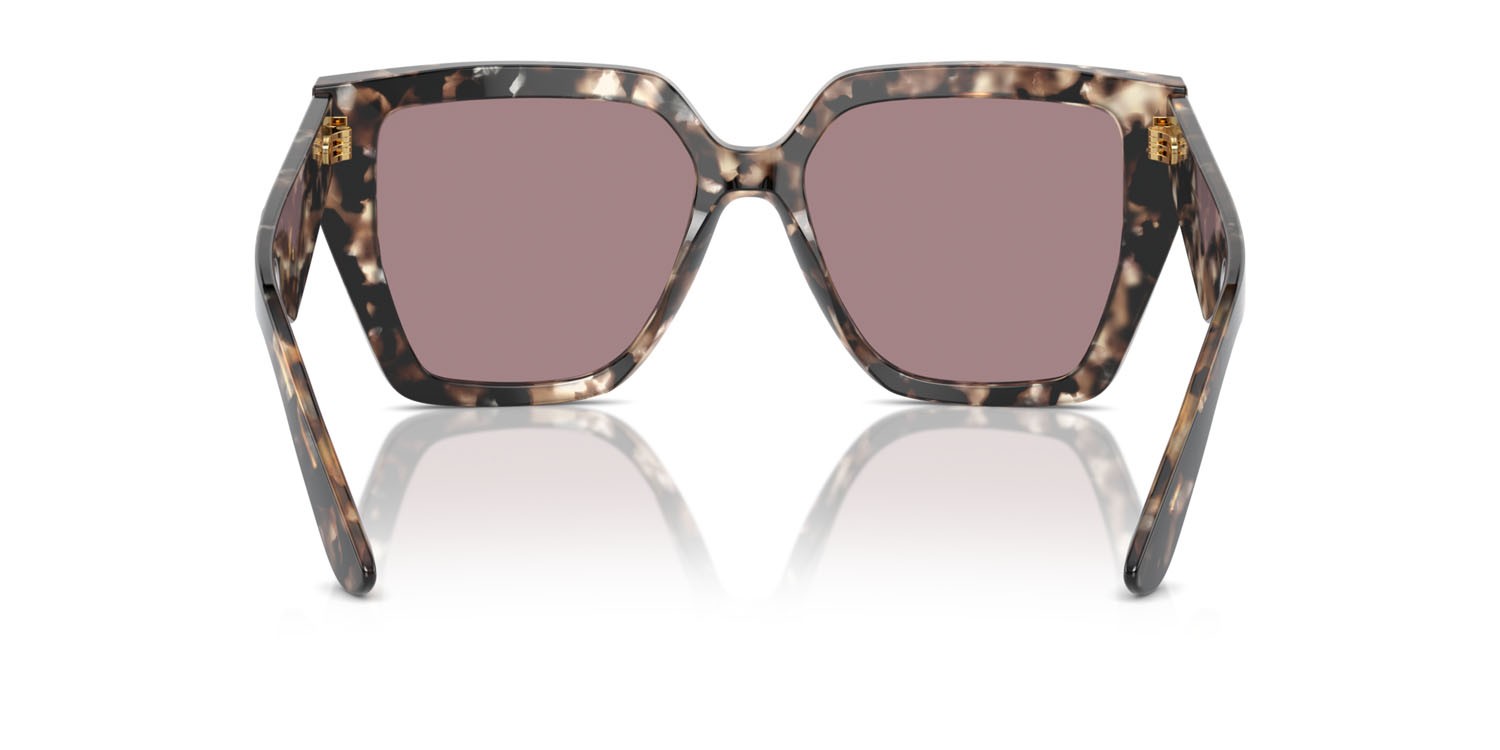 Sonnenbrillen Dolce & Gabbana DG 4438 (34387N) farbe havana brown pearl form quadratisch gläser viola chiaro/marrone