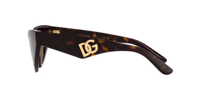 Sunglasses Dolce & Gabbana DG 4439 (502/73) color havana shape cat eye lenses marrone scuro